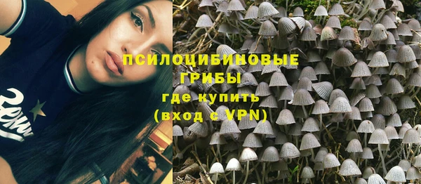 ALPHA PVP Алексин