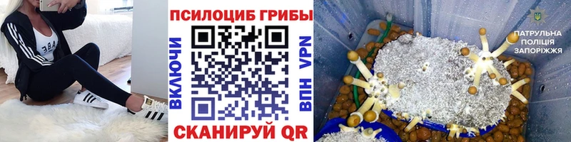 Галлюциногенные грибы мухоморы  Славск 